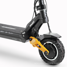 10inch 2 Wheels Fat tire 52V Electric scooter